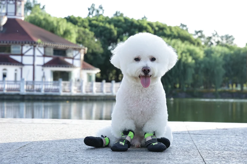 FLEXI SHOES Dog - Green edition
