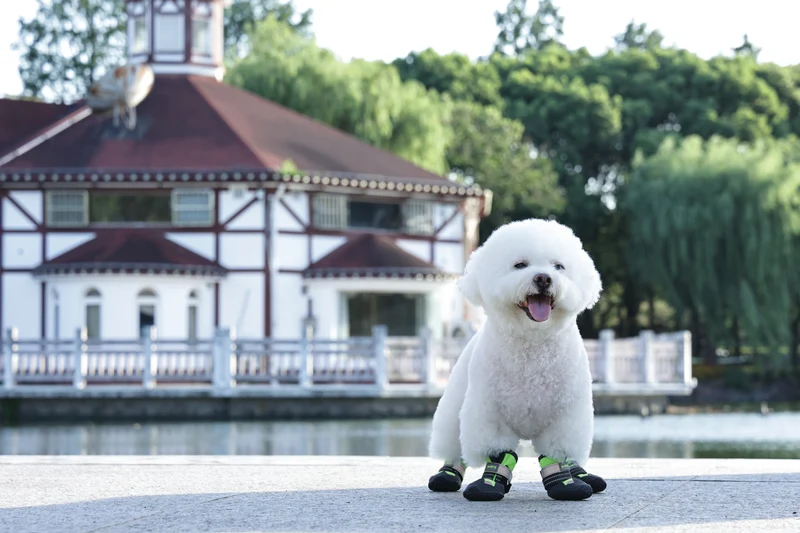 FLEXI SHOES Dog - Green edition