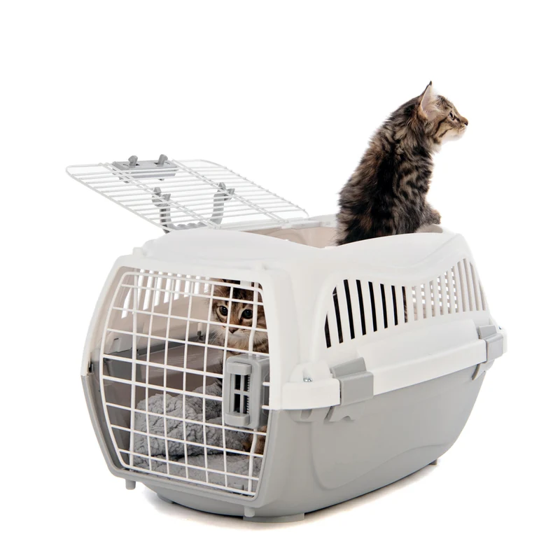 GIRO Carrier