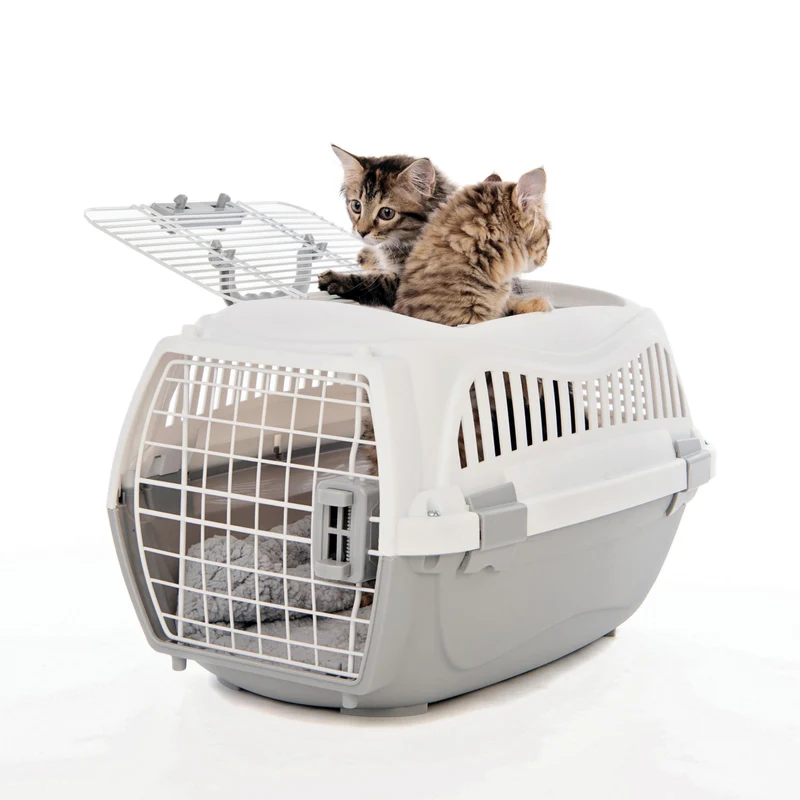 GIRO Carrier