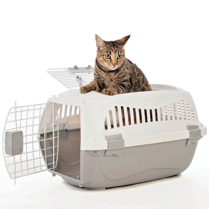 GIRO Carrier