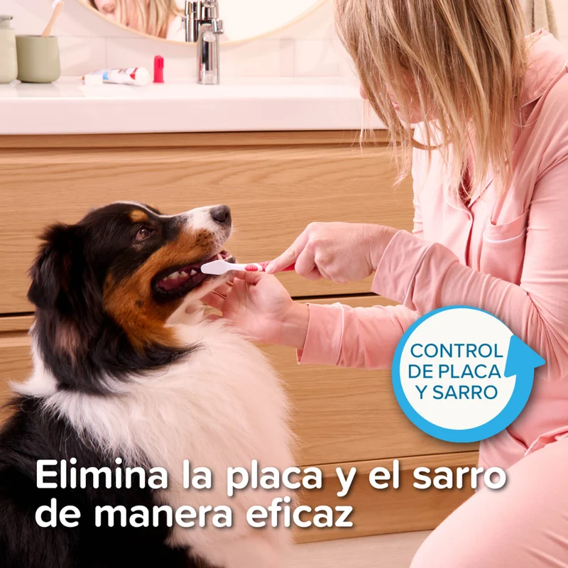 Beaphar Cepillo de Dientes Doble Cabezal para Perros y Gatos de Todos los Tamaños