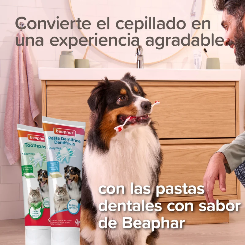 Beaphar Cepillo de Dientes Doble Cabezal para Perros y Gatos de Todos los Tamaños