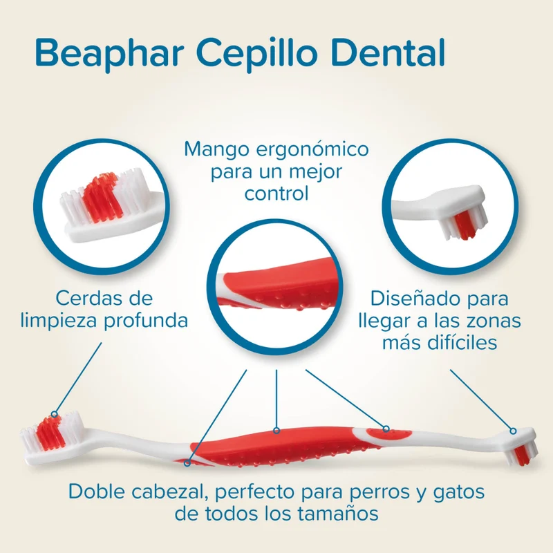 Beaphar Pack Cepillo Dental y Pasta Dentífrica 100 g para Perros y Gatos