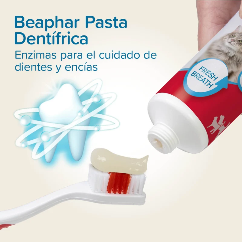 Beaphar Pack Cepillo Dental y Pasta Dentífrica 100 g para Perros y Gatos