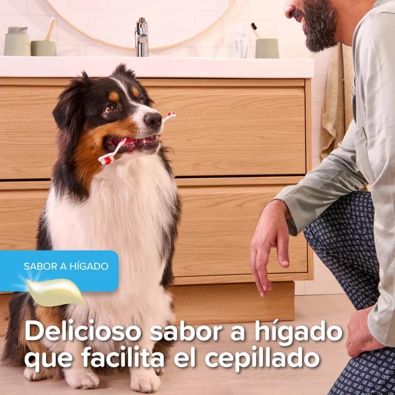 Beaphar Pack Cepillo Dental y Pasta Dentífrica 100 g para Perros y Gatos