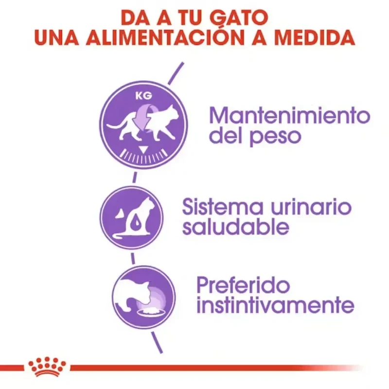 Royal Canin Sterilized Gelatina 85 g Comida Húmeda para Gatos Esterilizados
