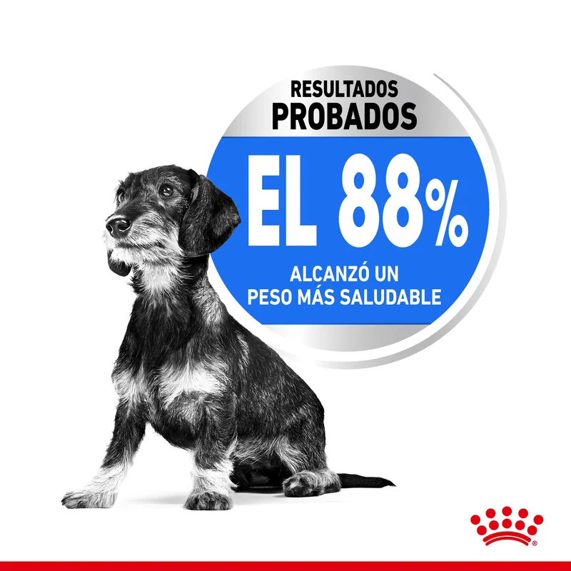 Royal Canin Mini Light Weight Care Pienso para Perros