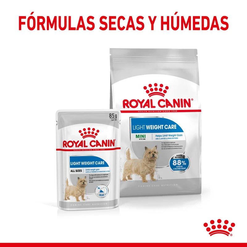 Royal Canin Mini Light Weight Care Pienso para Perros