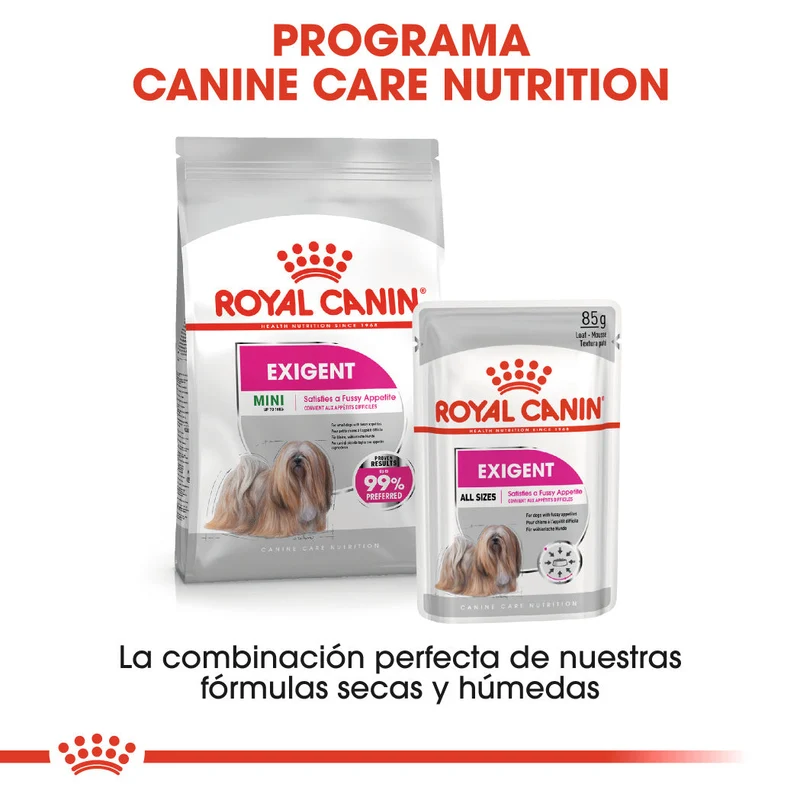 Royal Canin Mini Exigent Care Pienso para Perros