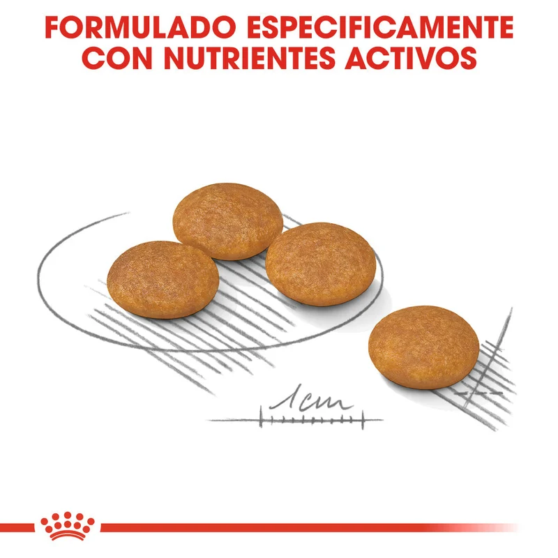 Royal Canin Mini Dermacomfort Care Pienso para Perros