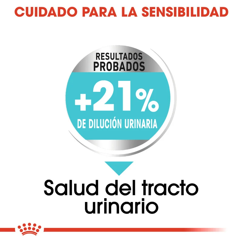 Royal Canin Mini Urinary Care Pienso para Perros