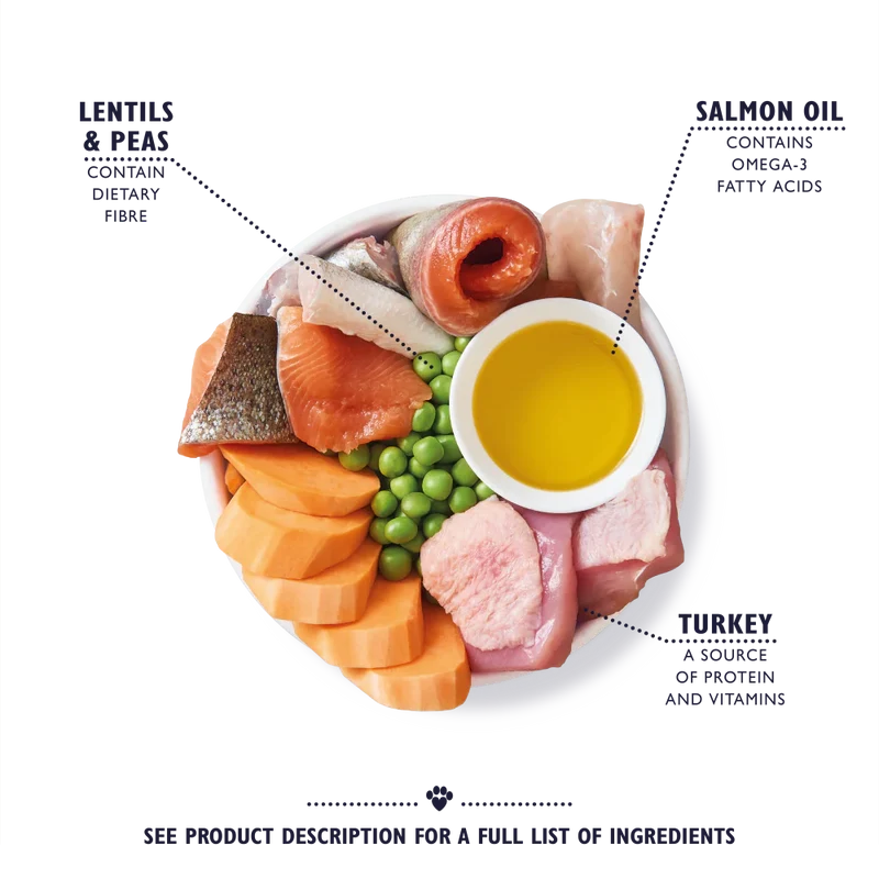 Lily's Kitchen Adult 8+ Senior Recipe Turkey, Trout and Seasonal White Fish Dry Dog Food