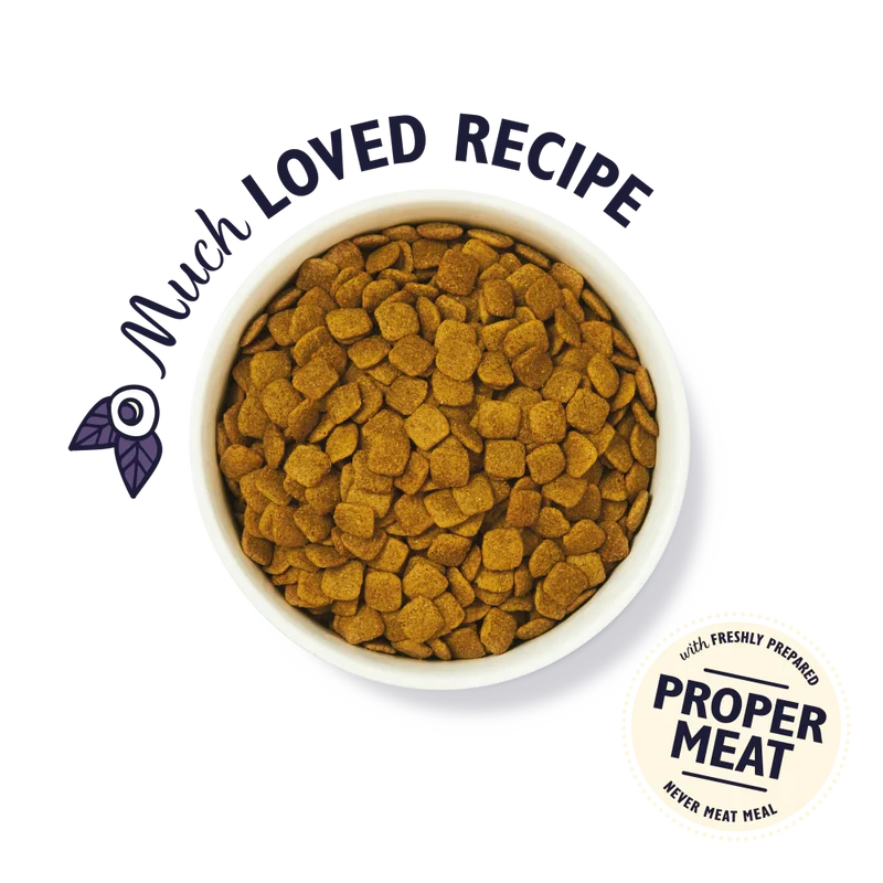 Lily's Kitchen Adult 8+ Senior Recipe Turkey, Trout and Seasonal White Fish Dry Dog Food