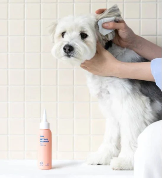 Inoom Pet Ear Cleaner for Dogs 100ml