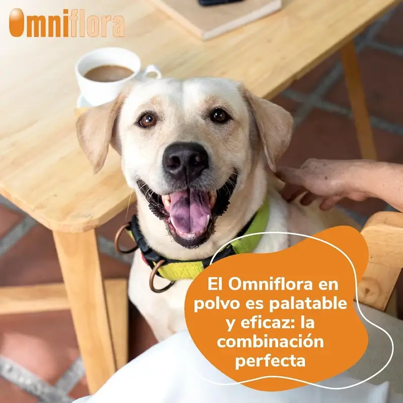 Omniflora Polvo Oral, 30 Sobres x 2 gr