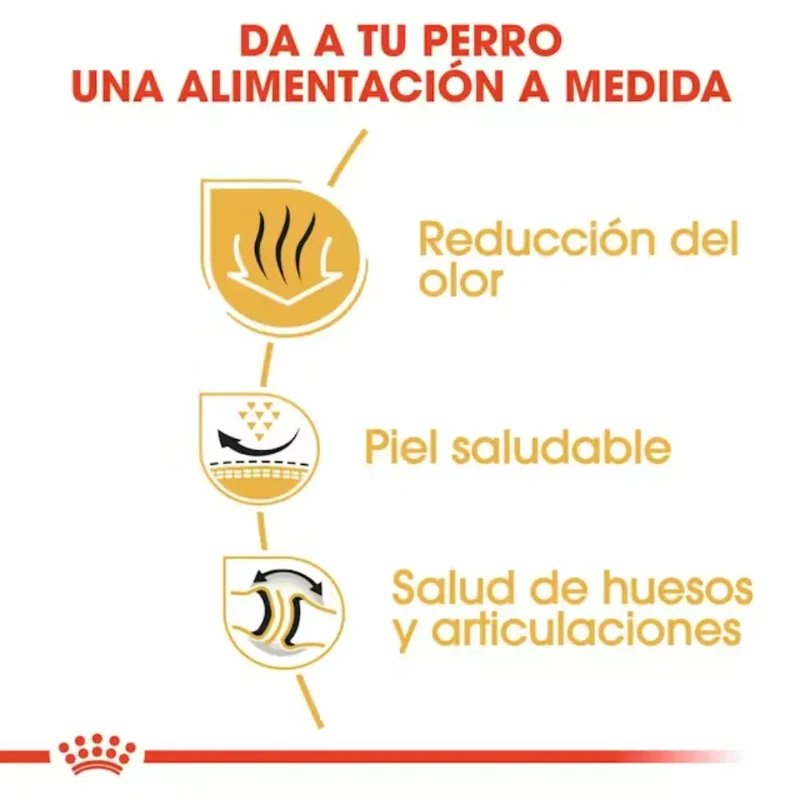 Royal Canin Bulldog Inglés Pienso para Perros de Raza Bulldog Adultos