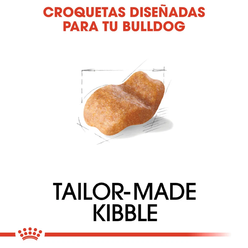 Royal Canin Bulldog Inglés Pienso para Perros de Raza Bulldog Adultos