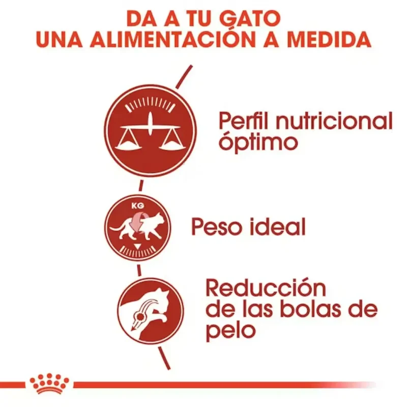 Royal Canin Fit 32 Pienso Seco para Gatos Adultos