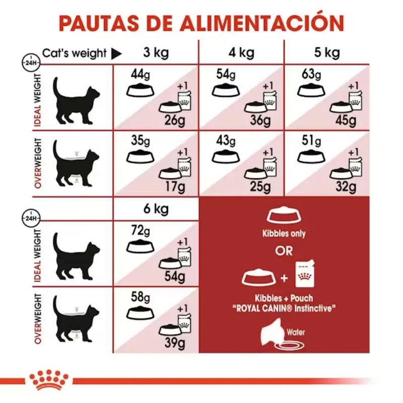 Royal Canin Fit 32 Pienso Seco para Gatos Adultos