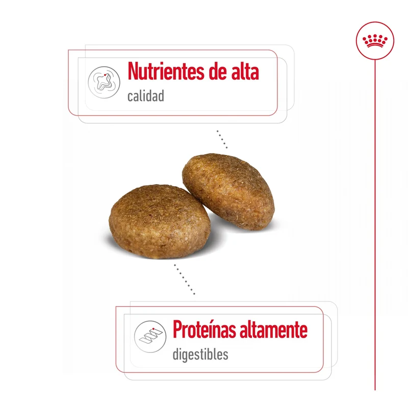 Royal Canin Maxi Adult Pienso para Perros