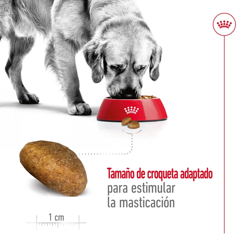 Royal Canin Maxi Adult Pienso para Perros
