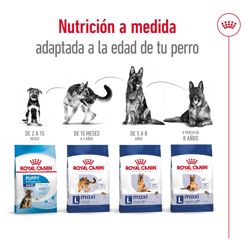 Royal Canin Maxi Adult Pienso para Perros