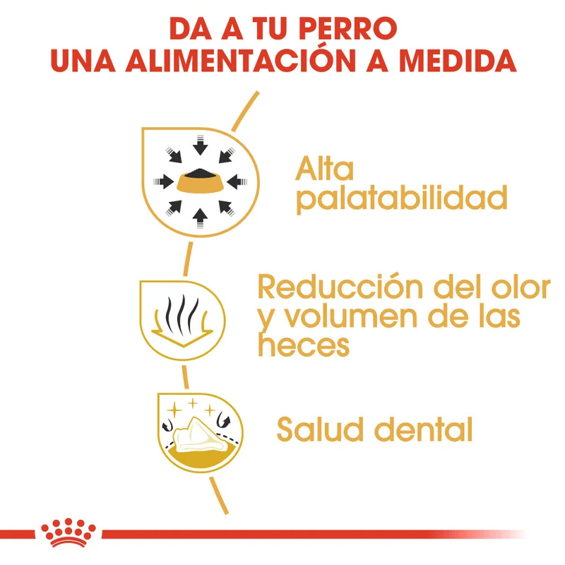 Royal Canin Chihuahua Pienso para Perros Adultos
