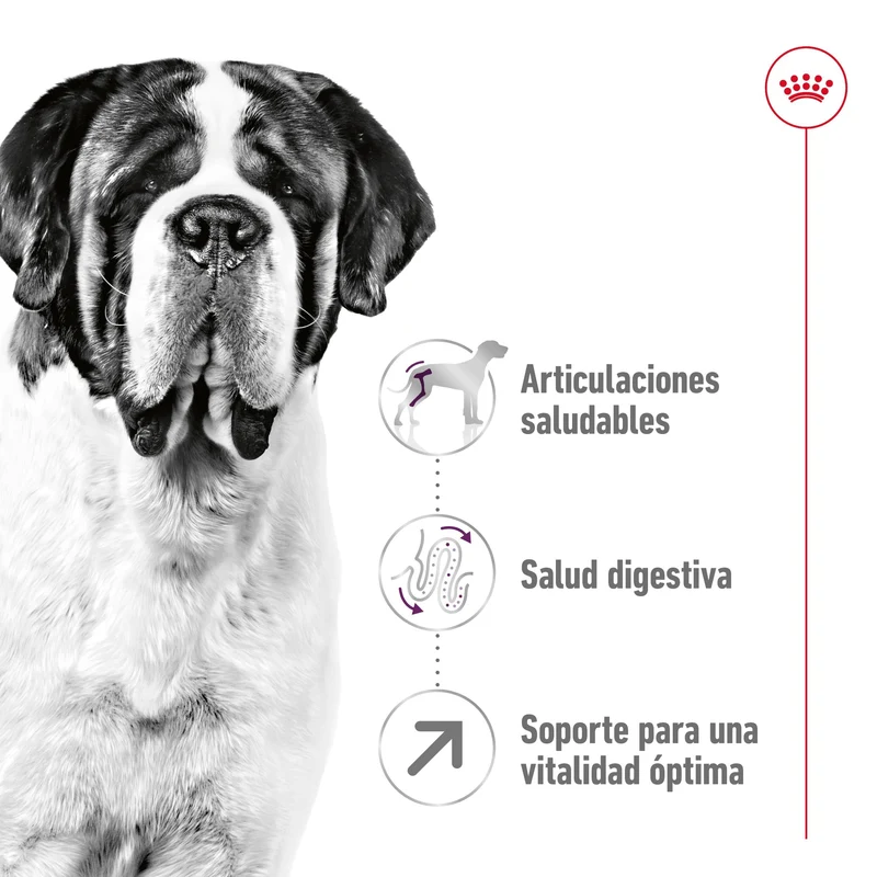 Royal Canin Giant Adult 15 kg Pienso para Perros