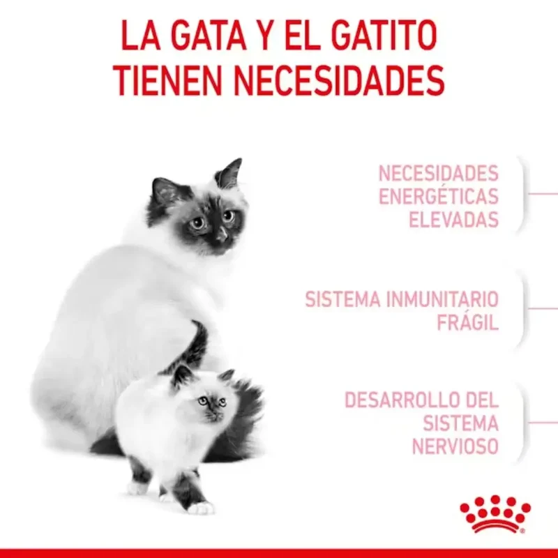 Royal Canin Mother & Babycat Pienso para Gatitos