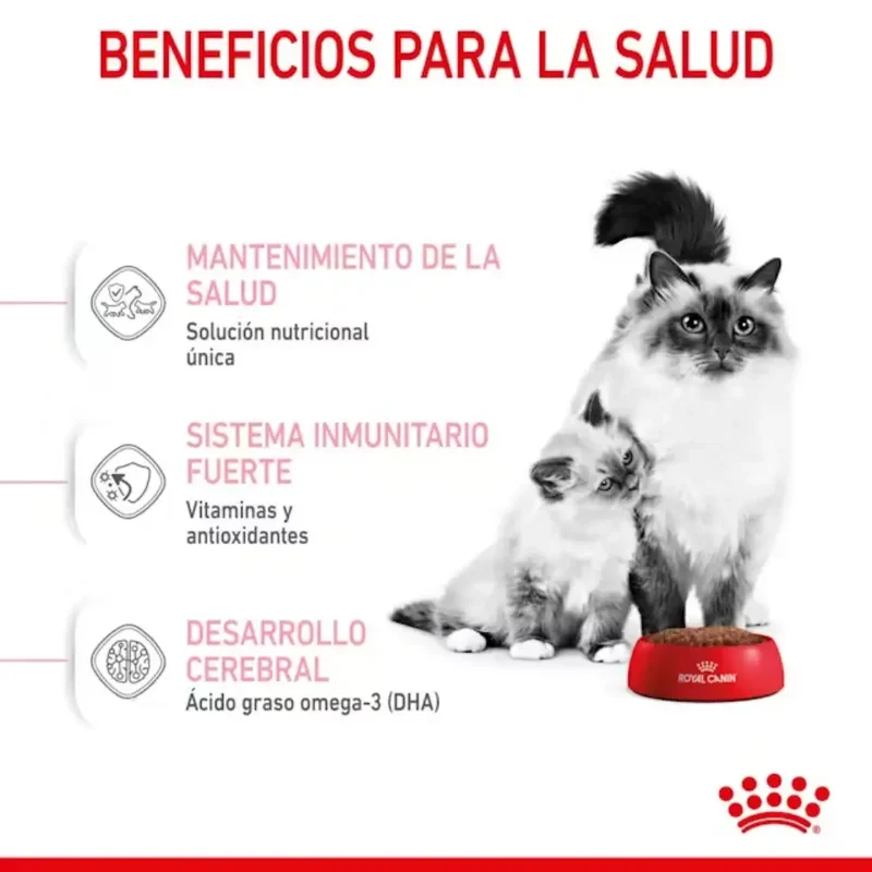 Royal Canin Mother & Babycat Pienso para Gatitos