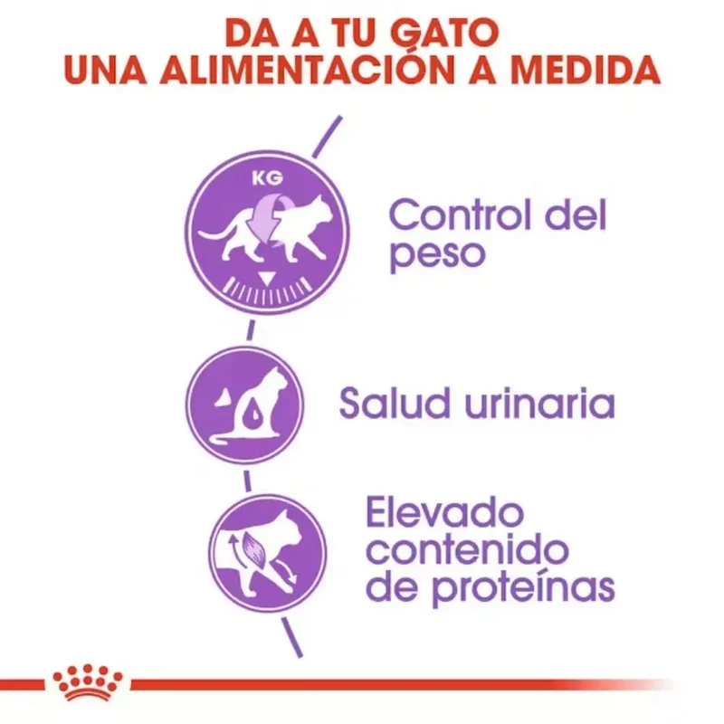 Royal Canin Sterilized 37 Pienso para Gatos Esterilizados