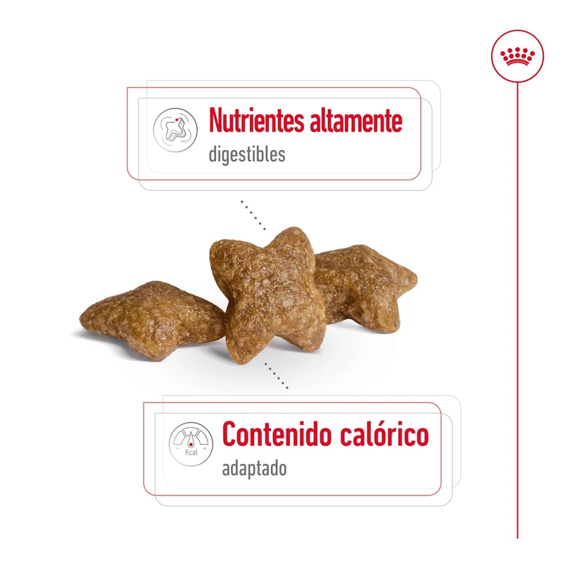 Royal Canin Mini Adult S Pienso para Perros