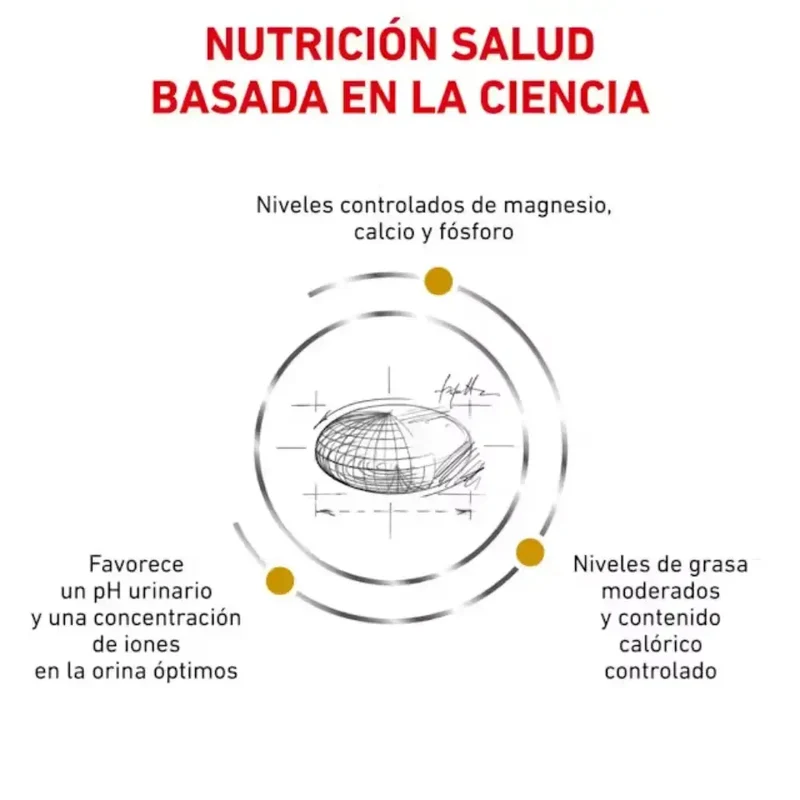 Royal Canin Veterinary Urinary Moderate Calorie Pienso para Gatos