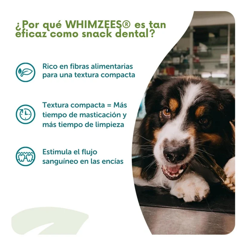 Whimzees Hueso Estrella Snack Dental para Perros Bolsa 420 g