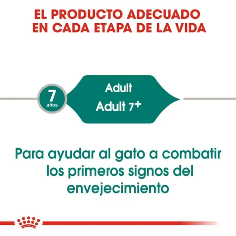 Royal Canin Instinctive 7+ en Salsa 85 g Comida Húmeda para Gatos