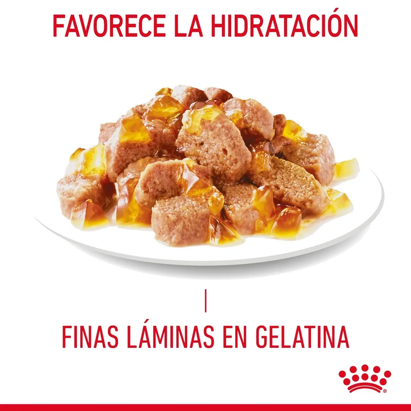 Royal Canin Light Weight Care Finas Láminas en Gelatina 85 g Húmedo para Gatos