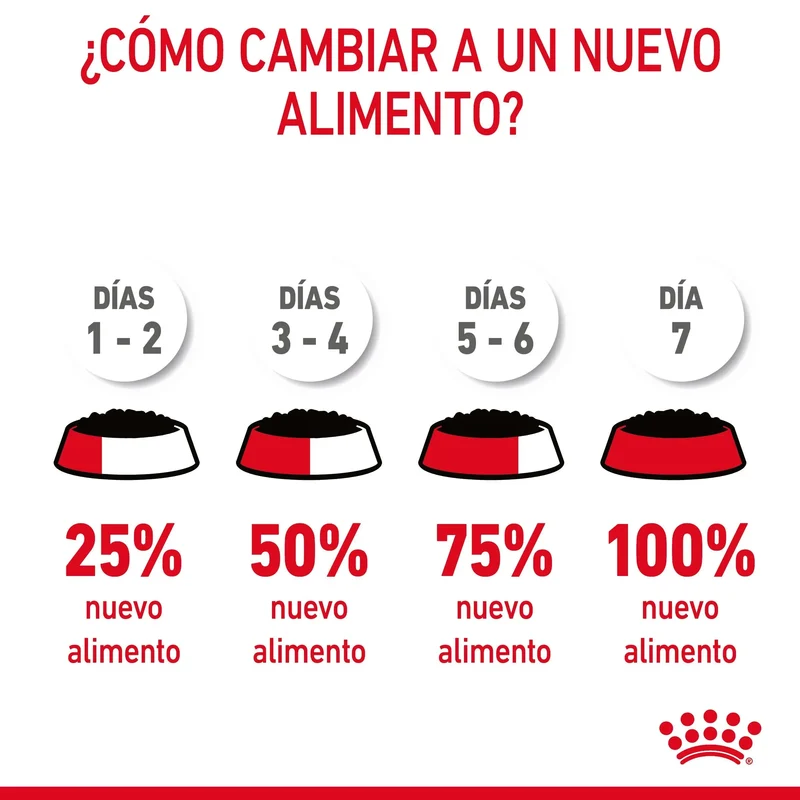 Royal Canin Digestive Care Finas Láminas en Salsa 85 g Húmedo para Gatos