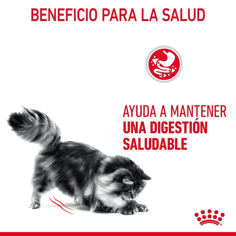 Royal Canin Digestive Care Finas Láminas en Salsa 85 g Húmedo para Gatos