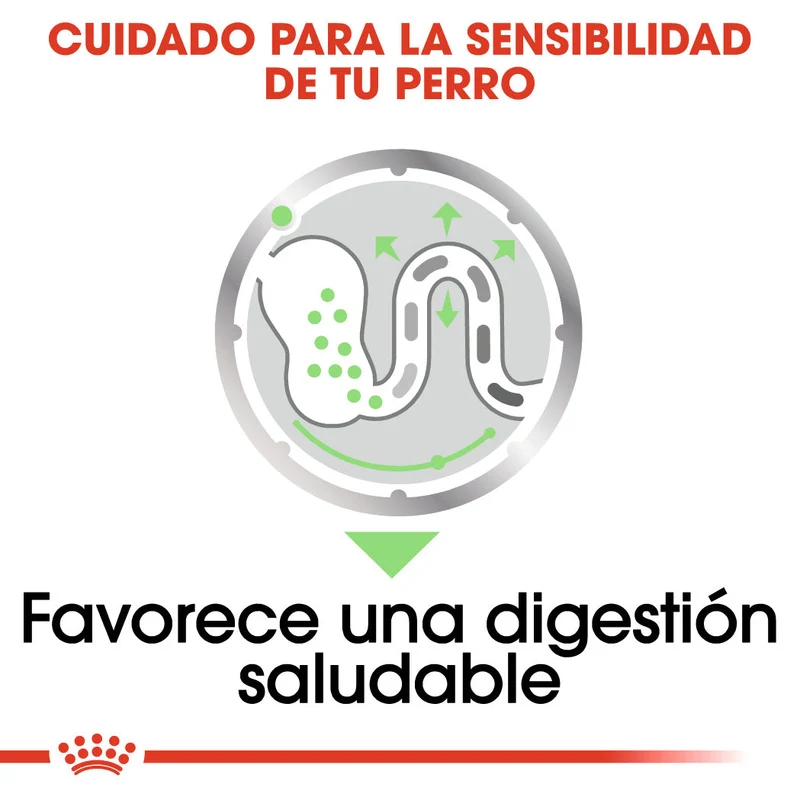 Royal Canin Digestive Care Paté 85 g Comida Húmeda para Perros