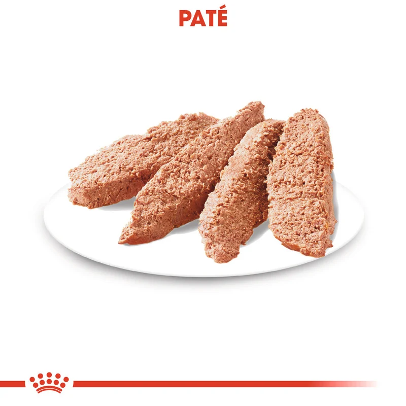 Royal Canin Urinary Care Paté 85 g Comida Húmeda para Perros