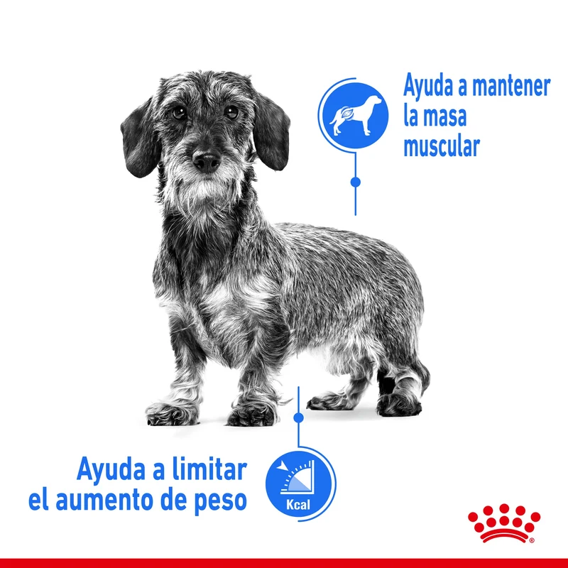 Royal Canin Light Weight Care Paté 85 g Comida Húmeda para Perros