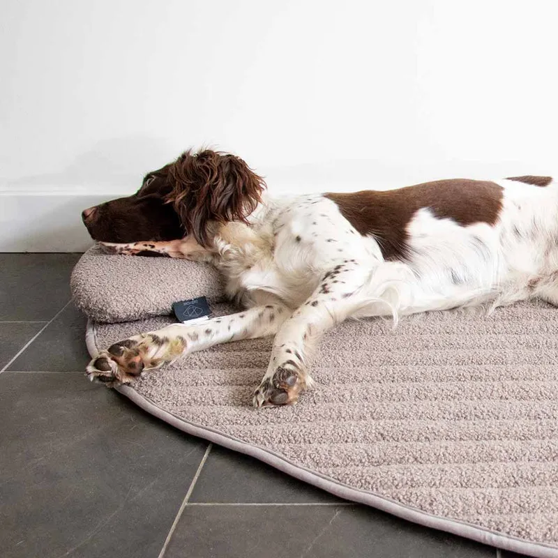D&D Home Pebble Dog Head Pillow Taupe 39x26x7.5cm