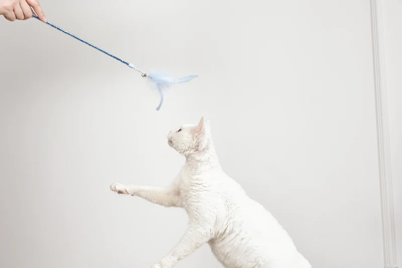 MoonCAT - cat wand Galactic Plume Pink/Blue Silver & White