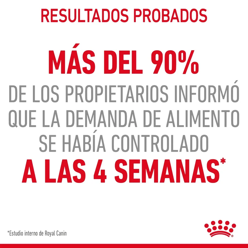 Royal Canin Appetite Control Pienso para Gatos