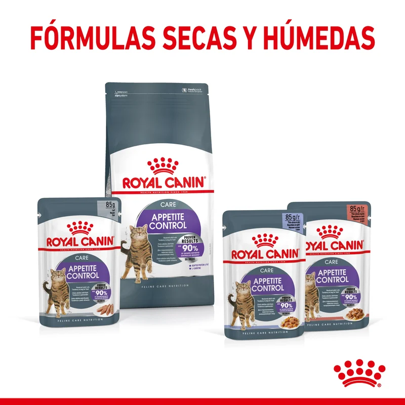Royal Canin Appetite Control Pienso para Gatos