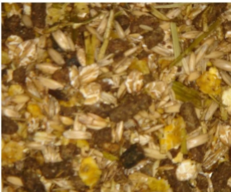 HippoX Mezcla para criadores 20 kg - Deli Nature