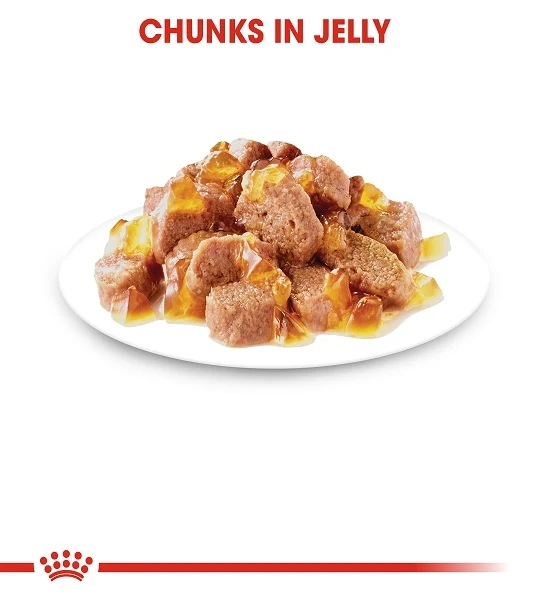 Royal Canin Hair & Skin In Jelly Adult Wet Cat Food