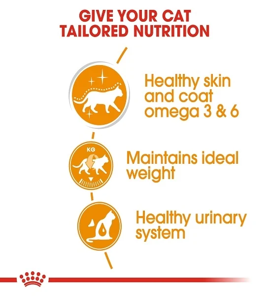 Royal Canin Hair & Skin In Jelly Adult Wet Cat Food