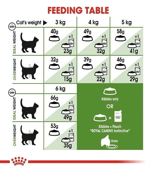 Royal Canin Active Life Outdoor Adult Dry Cat Food 2KG